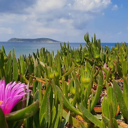 فيلة Beautiful Villa In Bodrum Guemuesluek For Families And Couples بودروم