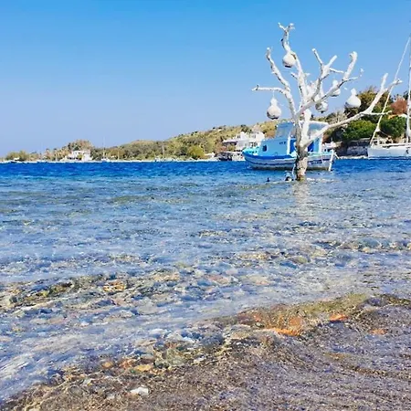 Beautiful Villa In Bodrum Guemuesluek For Families And Couples فيلة