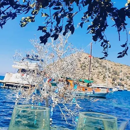 Beautiful Villa In Bodrum Guemuesluek For Families And Couples فيلة *